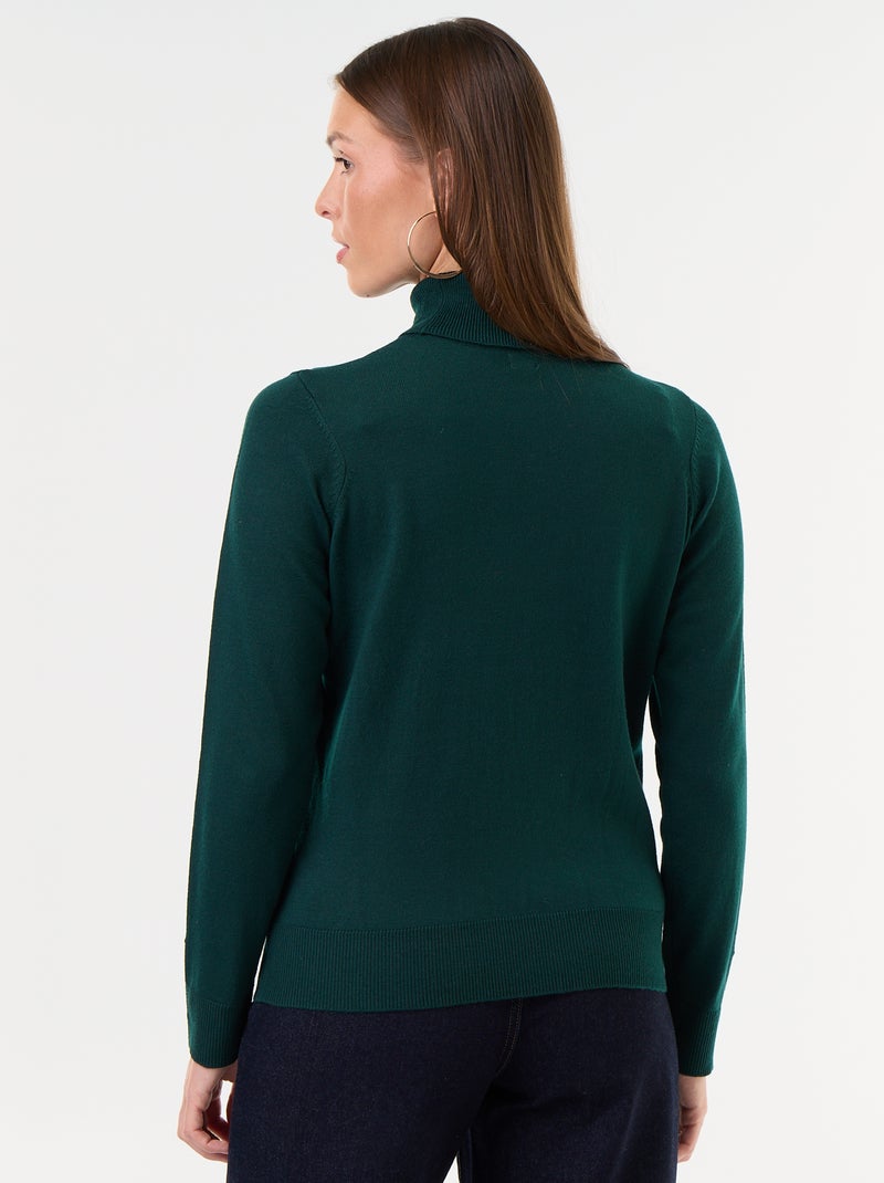 Maglione dolcevita a maglia fine Verde - Kiabi