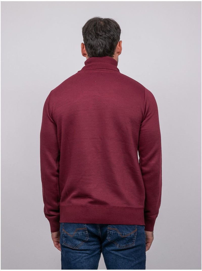 Maglione dolcevita larlequin Bordeaux - Kiabi