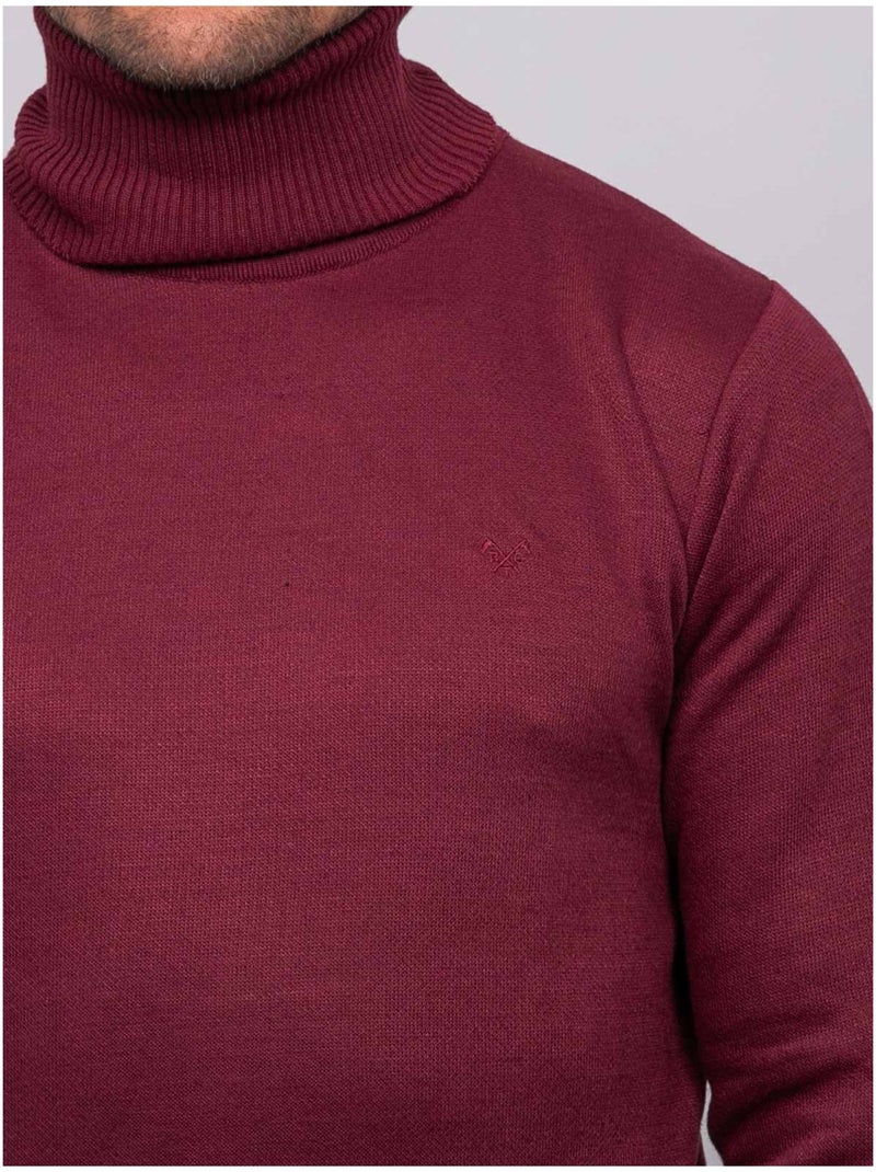 Maglione dolcevita larlequin Bordeaux - Kiabi