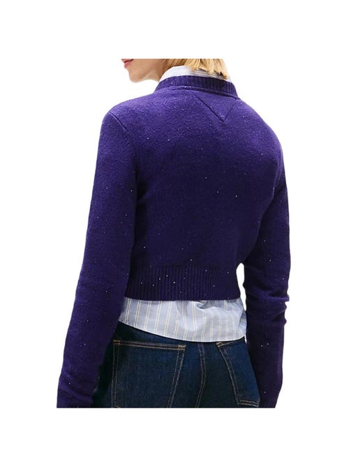 Maglione Donna Tommy Hilfiger Tjw Sparkle Flag - Kiabi