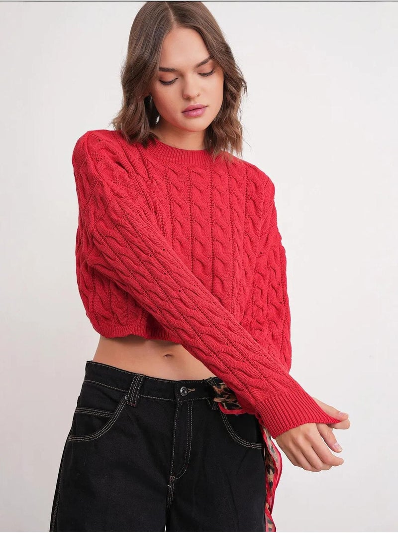 Maglione girocollo con motivo a trecce mixray Rosso - Kiabi