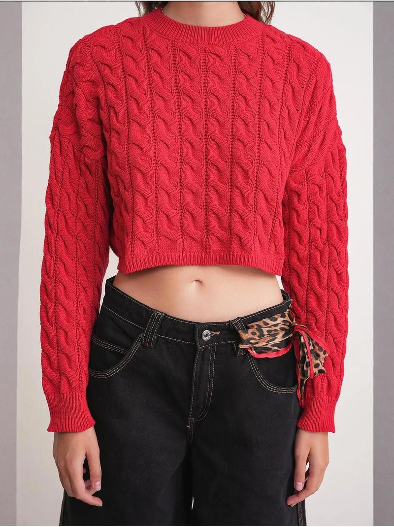 Maglione girocollo con motivo a trecce mixray Rosso - Kiabi