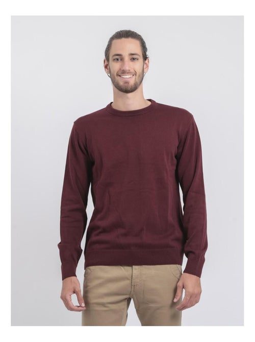 Maglione girocollo puro cotone LADARKO - Kiabi
