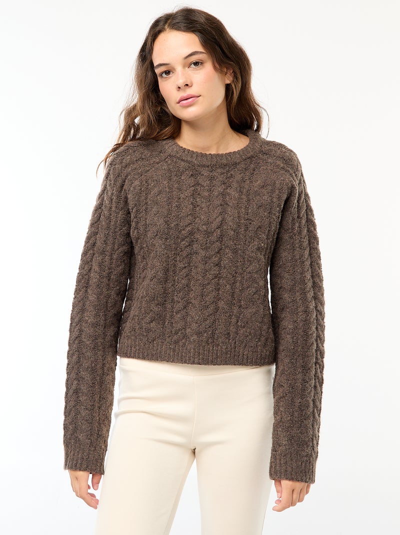 Maglione in maglia a trecce Marrone - Kiabi