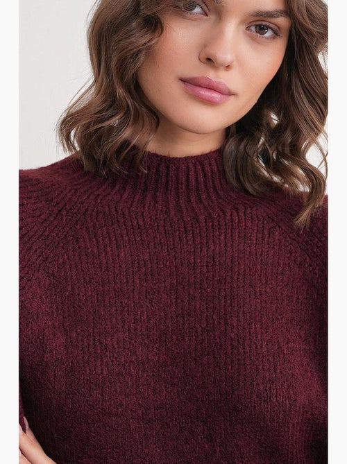 Maglione in maglia con mezzo collo alto mixray - Kiabi