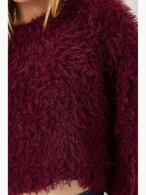 Maglione in maglia pelosa lucci - Kiabi