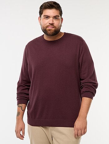 Maglione in maglia tinta unita con collo rotondo