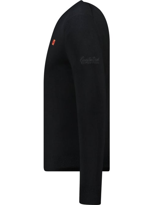 Maglione scollo a v felineak – canadian peak - Kiabi