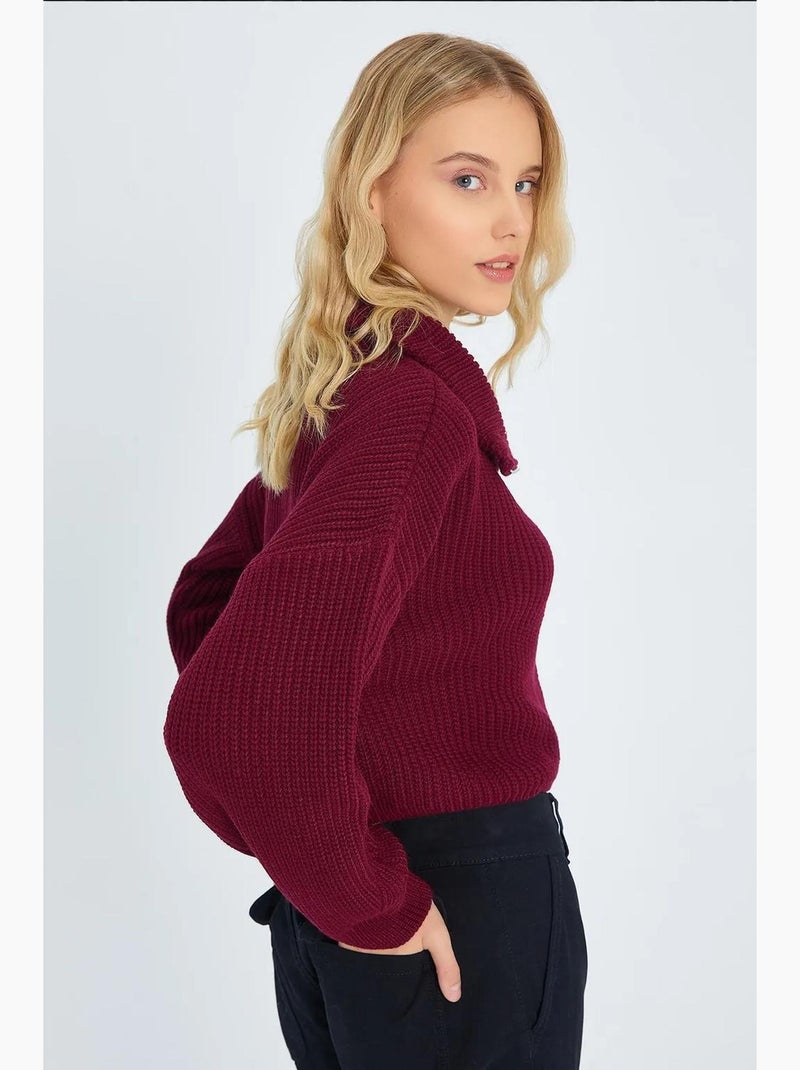 Maglione testurizzato a maniche lunghe con collo con zip mixray Rosso bordeaux - Kiabi