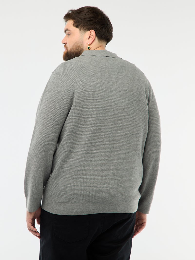 Maglione tinta unita collo polo abbottonato Grigio - Kiabi