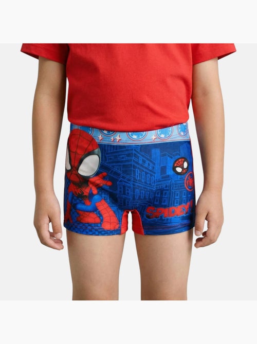 Marvel - Boxer mare - Kiabi