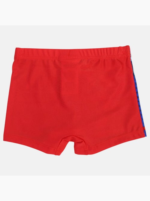 Marvel - Boxer mare - Kiabi