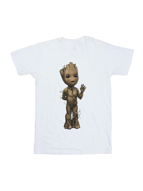 Marvel I Am Groot Maglietta Onda Uomo - Kiabi Marvel I Am Groot Maglietta Onda Uomo - Kiabi