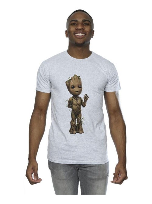 Marvel I Am Groot Maglietta Onda Uomo - Kiabi Marvel I Am Groot Maglietta Onda Uomo - Kiabi