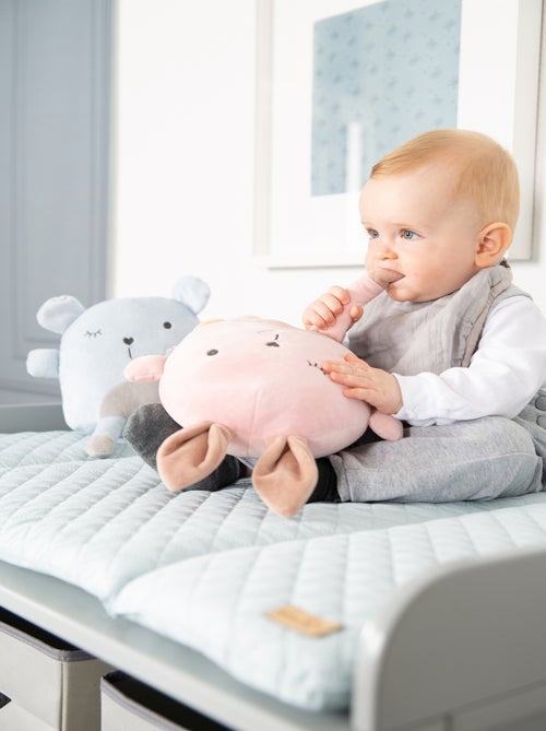 Materassino fasciatoio impermeabile con testa di orsetto – "roba Style" - Kiabi