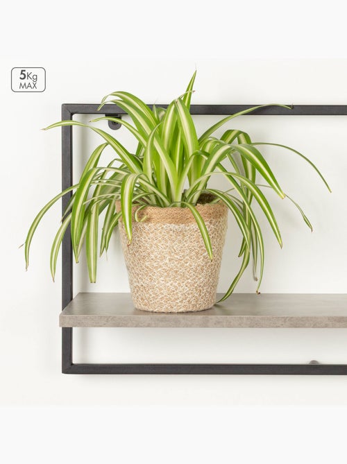 Max home scaffalatura da parete effetto cemento 1 ripiano 65x20x35 cm - Kiabi Max home scaffalatura da parete effetto cemento 1 ripiano 65x20x35 cm - Kiabi