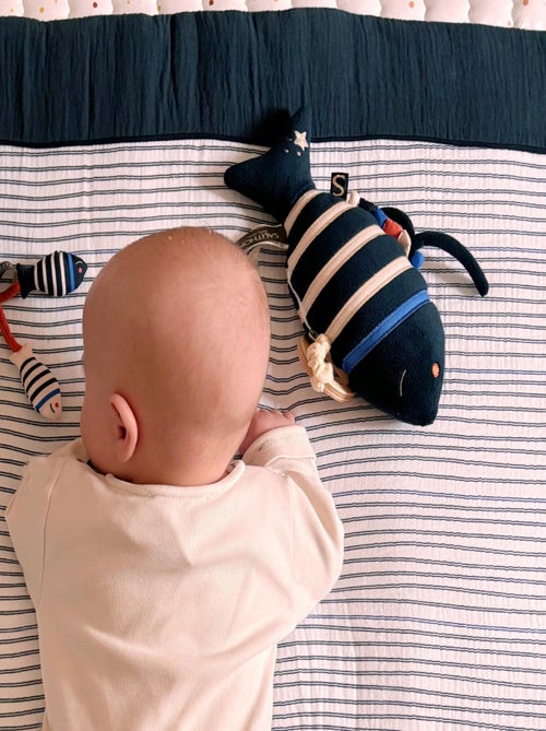 Mini pesce musicale in - SAUTHON - Kiabi