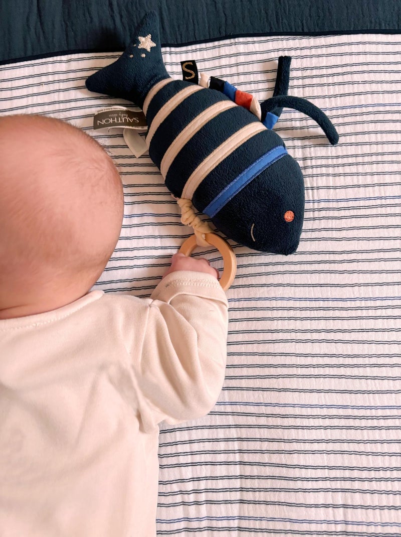 Mini pesce musicale in - SAUTHON Blu - Kiabi