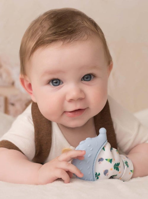 Muffola da dentizione in silicone alimentare, riccio | SEVIRA KIDS - Kiabi