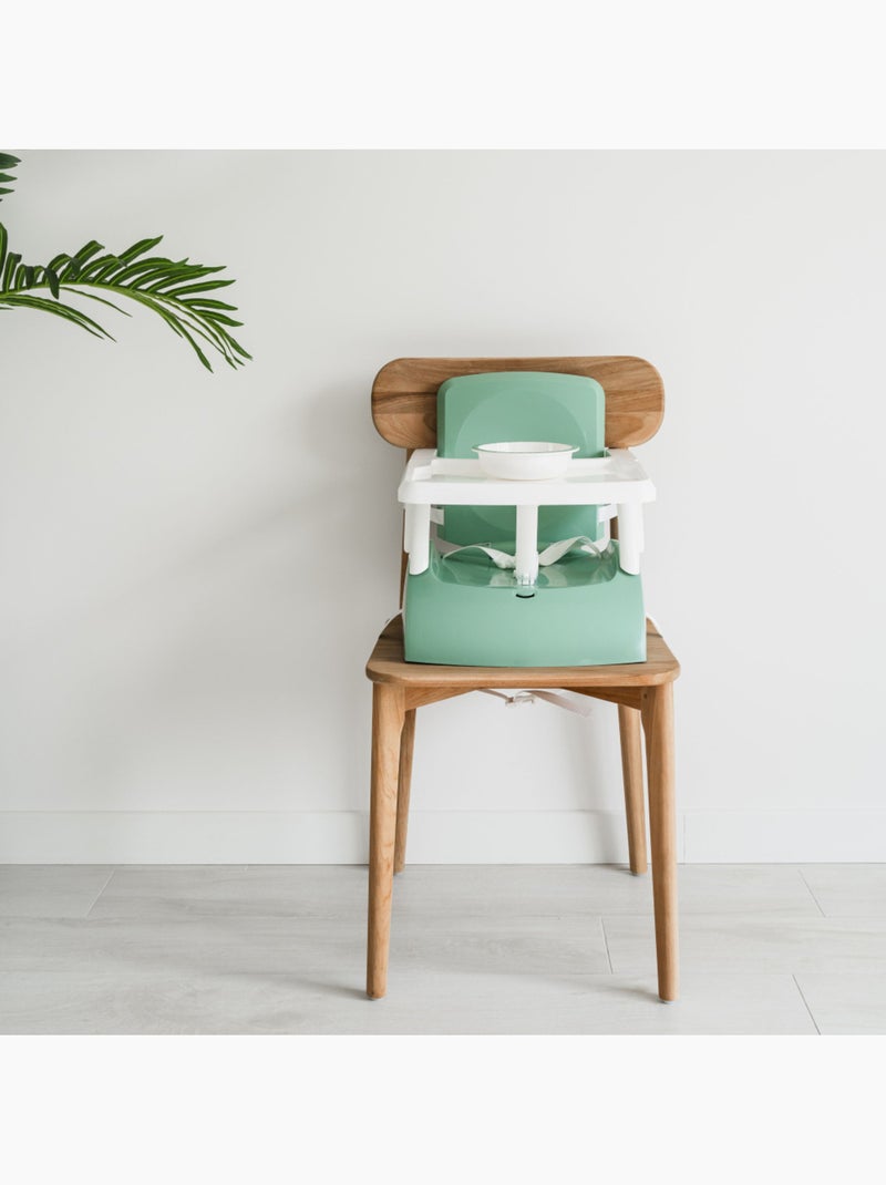 Pack pasti 2º anno Thermobaby con rialzo Gusto, 5 contenitori Verde salvia - Kiabi