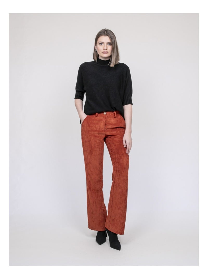Pantalone in velluto a costine ELIO Rosso mattone - Kiabi