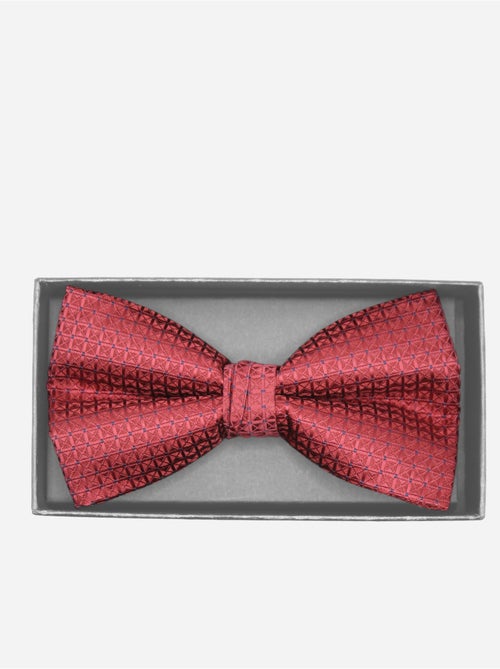 Papillon in confezione regalo - Yves Enzo - Kiabi