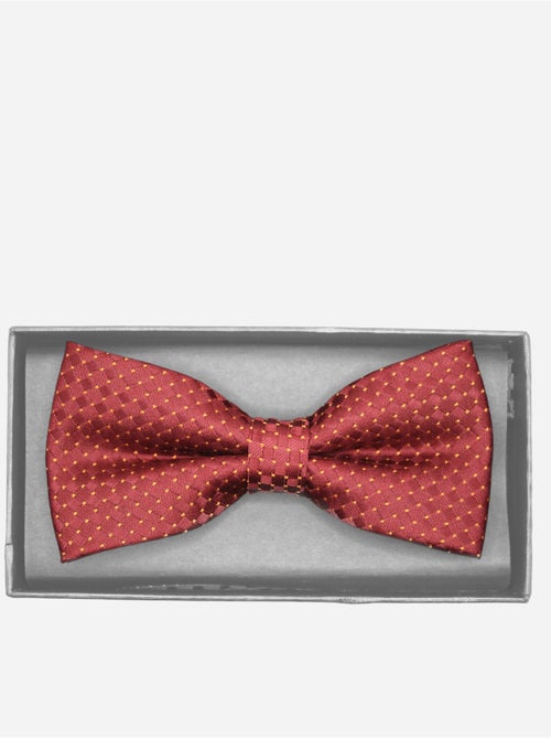 Papillon in confezione regalo - Yves Enzo - Kiabi