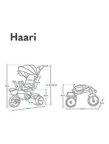 Passeggino e triciclo LIONELO Haari - Fino a 25 kg - Seduta reversibile - Cestino e borsa inclusi