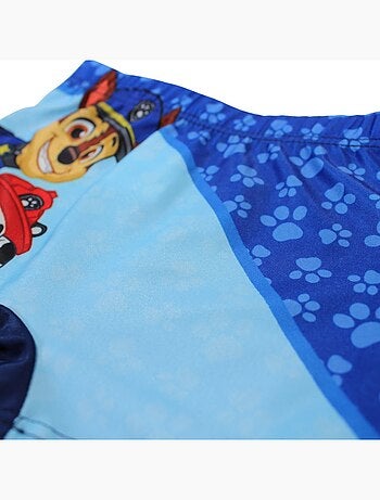 Paw Patrol - Boxer mare