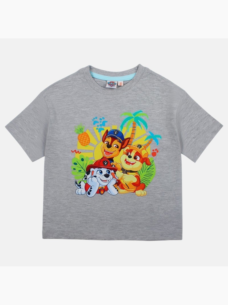 Paw Patrol - Maglietta bambino Grigio - Kiabi