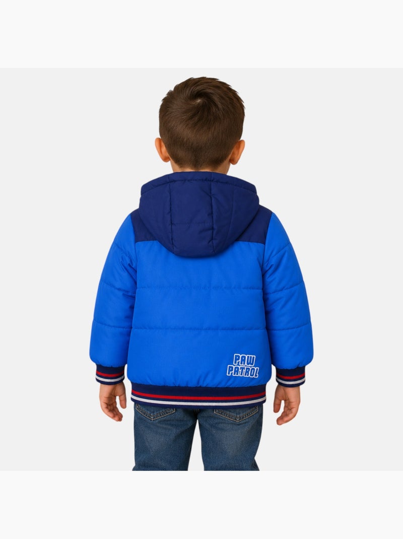 Paw Patrol - Piumino da bambino Blu - Kiabi