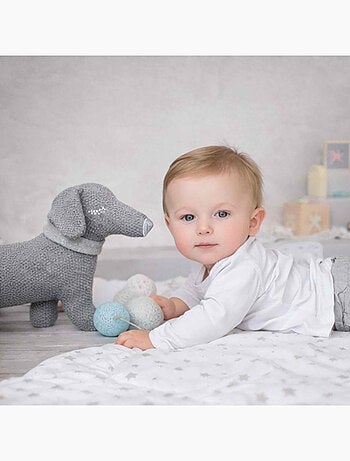 Peluche cane bassotto in cotone biologico | sevira kids | sevira kids