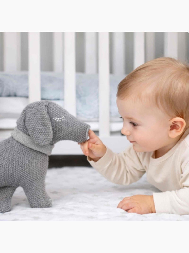 Peluche cane bassotto in cotone biologico | sevira kids | sevira kids Grigio - Kiabi