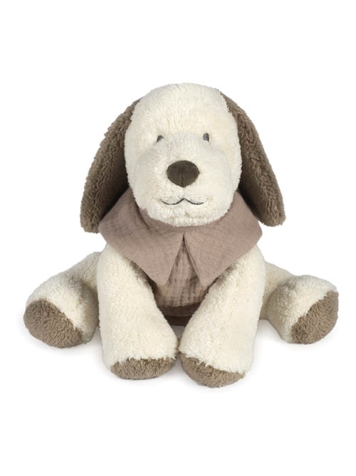 Peluche cane in velluto e cotone, sintra | Walking Mum - Kiabi