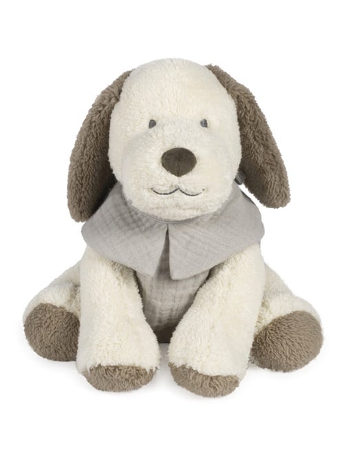 Peluche cane in velluto e cotone, sintra | Walking Mum - Kiabi