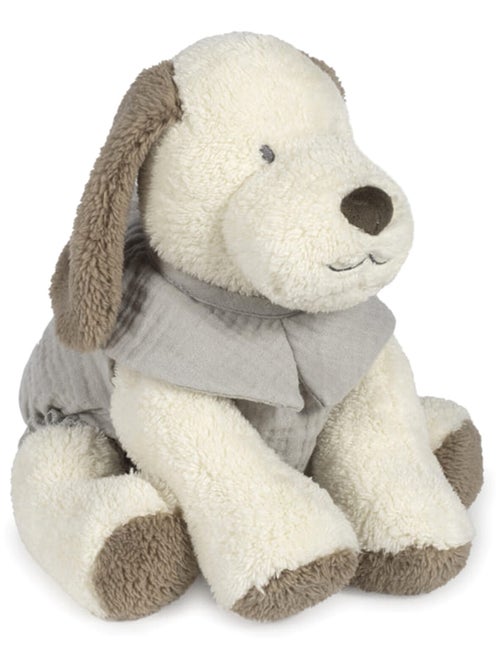 Peluche cane in velluto e cotone, sintra | Walking Mum - Kiabi