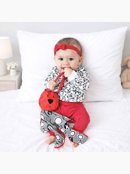 Peluche coniglio in bambù per neonato | sevira kids | sevira kids - Kiabi Peluche coniglio in bambù per neonato | sevira kids | sevira kids - Kiabi