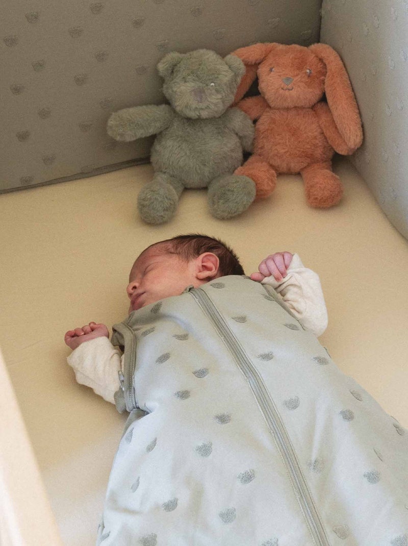 Peluche musicale per neonato Rosa - Kiabi