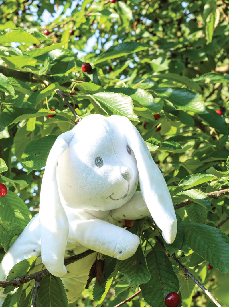 Peluche piccolo coniglietto N/D - Kiabi