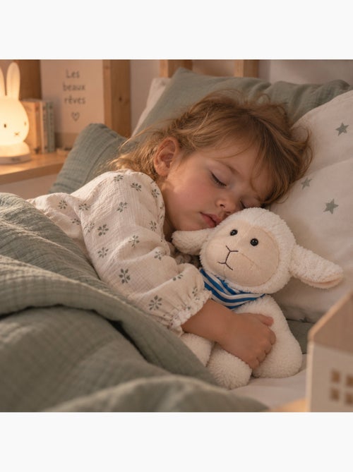 Peluche termico pecora sfoderabile caldo o freddo - Kiabi Peluche termico pecora sfoderabile caldo o freddo - Kiabi