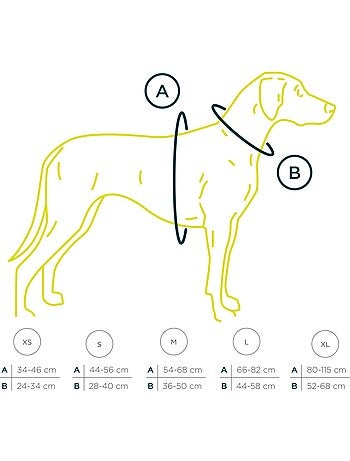 Pettorina per cani in pelle PELUVIO Lord - Regolabile