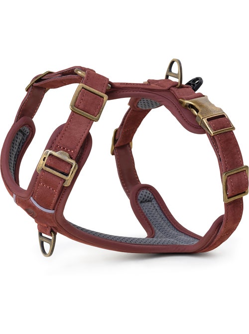 Pettorina per cani in pelle PELUVIO Lord - Regolabile - Kiabi