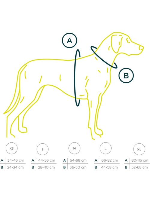 Pettorina per cani in pelle PELUVIO Lord - Regolabile - Kiabi