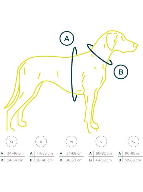 Pettorina per cani PELUVIO Mate - Riflettente - Regolabile - Kiabi