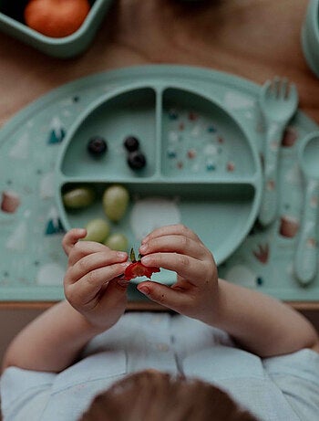 Piatto suddiviso in silicone con ventosa - animali | Sassi Junior