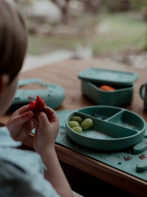 Piatto suddiviso in silicone con ventosa - animali | Sassi Junior - Kiabi