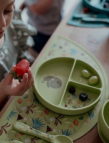 Piatto suddiviso in silicone con ventosa - animali | Sassi Junior