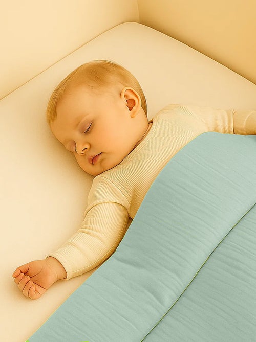 Piumino in cotone biologico - Kiabi