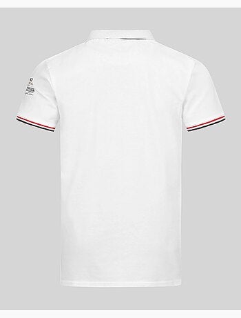 Polo kidney – geographical norway