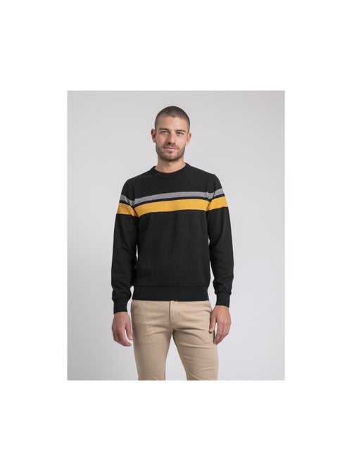 Pull girocollo pur coton LORIMAKO - Kiabi